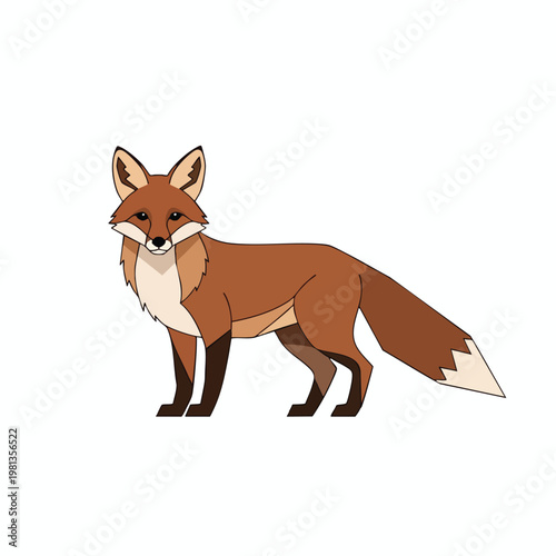 Stylized Cartoon Fox Illustration for Nature and Wildlife Themes