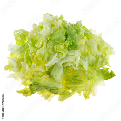 Photos Fresh chopped iceberg lettuce leaves isolated on white background, organic green