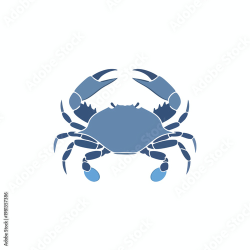 Close up of a Blue Crab for Seafood and Marine Life Photography
