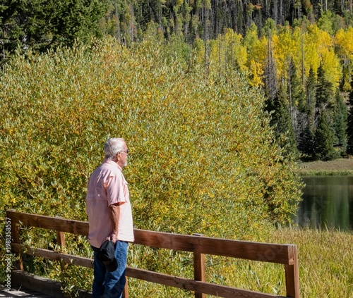 Seniorr man standing on a wooden bridge looking at the pond framed by aspen trees