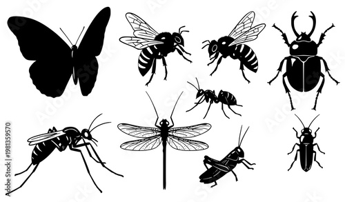 Insect silhouette vector set butterfly bee beetle bug collection isolated on white