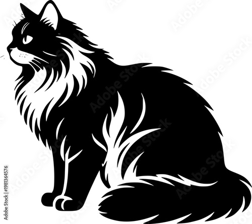 black and white norwegian forest cat