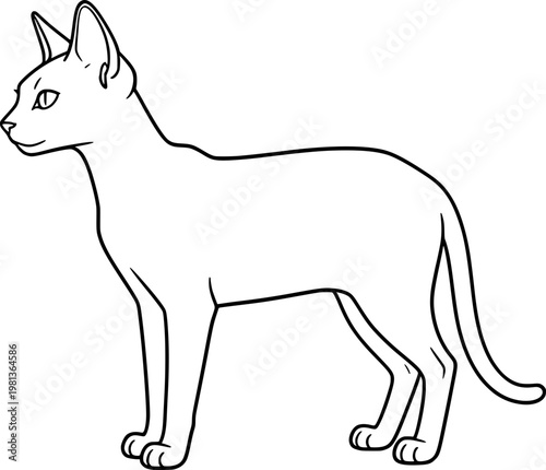 vector illustration of an oriental shorthair cat