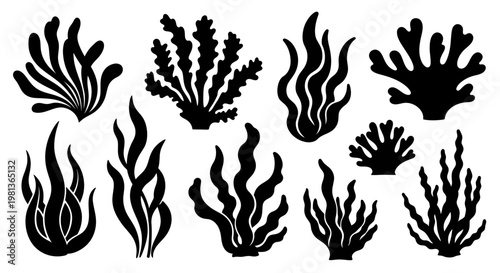 Black Silhouette Seaweed and Coral Collection - Underwater Plant Vector Icons
