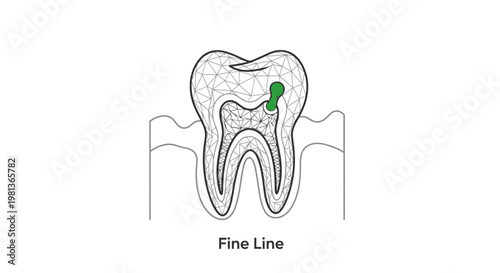 Intricate Dental X-Ray Outline Icon for Diagnostics and Advanced Imaging. transparent.