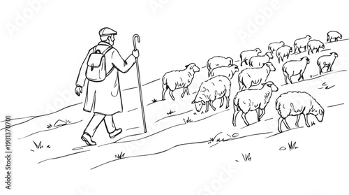 Shepherd leading flock of sheep in rural countryside with walking stick line art illustration