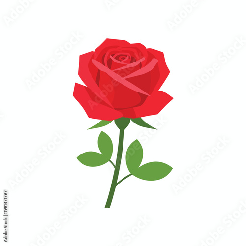 Vibrant Red Rose Flower for Love and Romance Themes