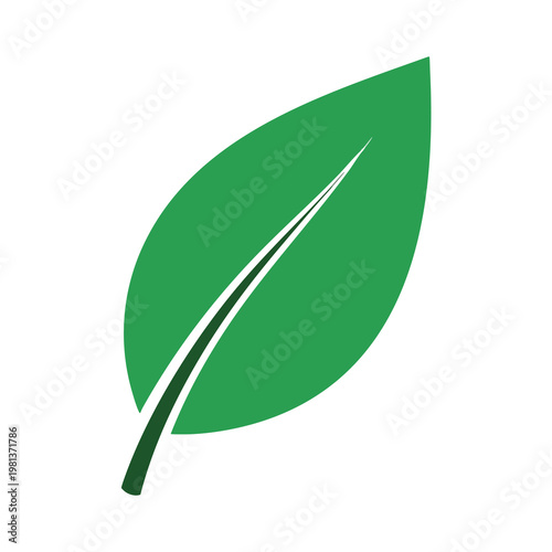 Vibrant Green Leaf with Natural Texture for Eco Friendly and Sustainability Themes