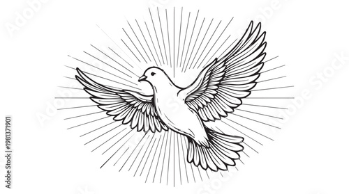 Minimalist white dove flying with radiant light rays in line art vector illustration