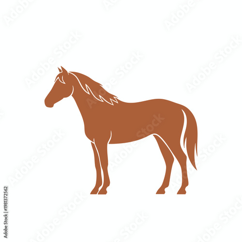 Elegant Brown Horse Standing on Plain Background for Veterinary or Equestrian Use