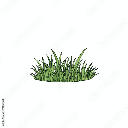 Fresh Green Grass Patch for Landscaping and Outdoor Decor