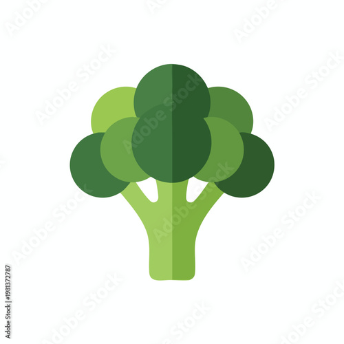 Fresh Green Broccoli Head with Bright Natural Colors for Healthy Food and Vegetarian Recipes