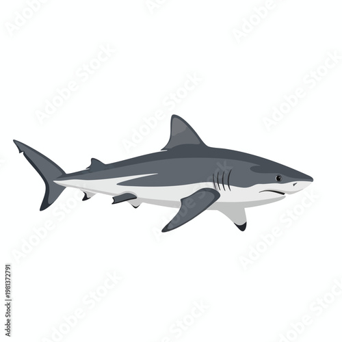 Modern Illustration of a Shark for Marine Life and Nature Themes