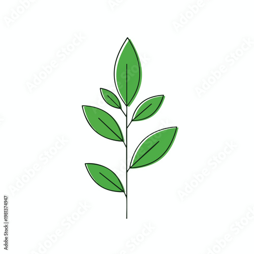 Fresh Green Herb with Leaves for Healthy Cooking and Natural Remedies