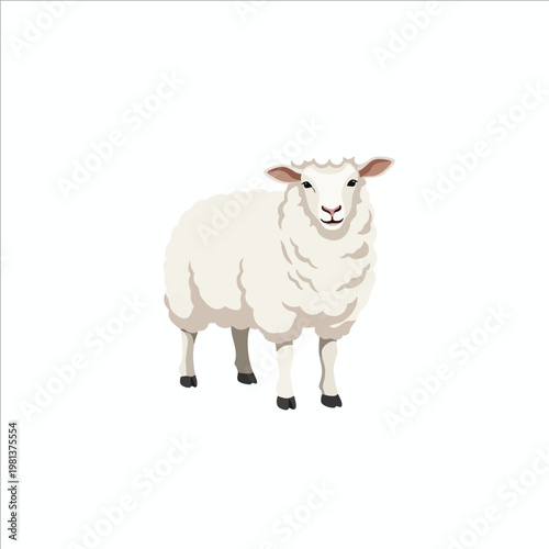 Adorable Woolly Sheep Standing on Pasture with Bright Natural Background