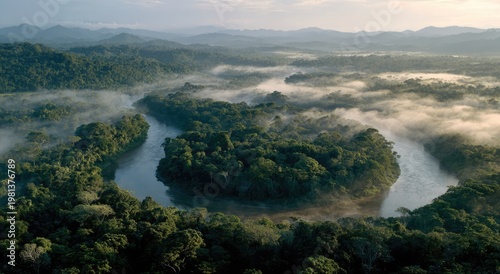 Misty Morning River Meanders Through Lush Rainforest Canopy.