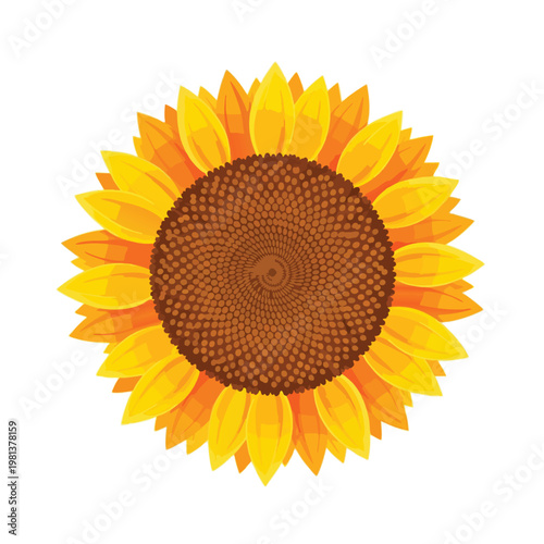 Vibrant Sunflower Blossom for Nature and Garden Decor