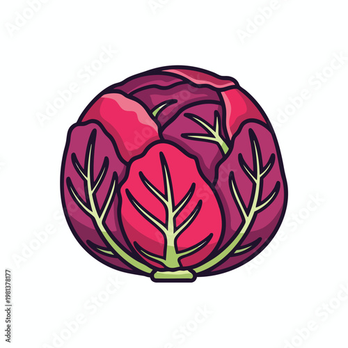 Fresh and Vibrant Red Cabbage Illustration for Healthy Cooking and Food Recipes