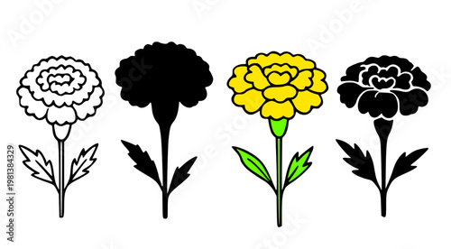 Marigold icon set illustrations, in outline, silhouette and colored styles, for floral and plant themed designs or clipart