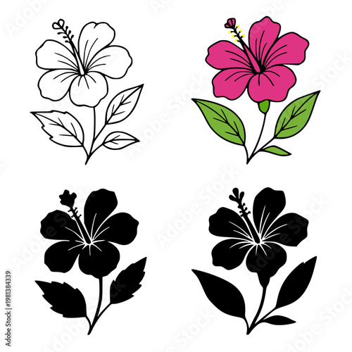 Hibiscus set of illustration icons, in outline, silhouette and colored design