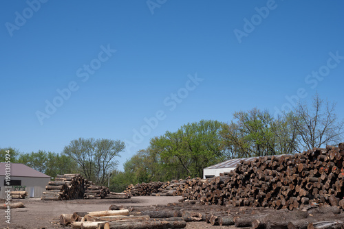Large lumber yard with neatly stacked logs under clear blue sky during daytime in a rural setting