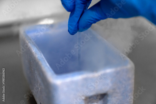 Bilde på lerret Embryologist in blue gloves using liquid nitrogen for cryopreservation of embryo