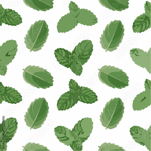 Mint leaves pattern design on white background