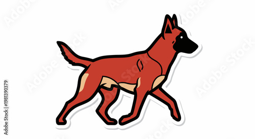 Belgian Malinois Dog Vector Illustration, Flat Style Graphic of a Walking Shepherd Canine for Pet Care Branding and Animal Training Logos