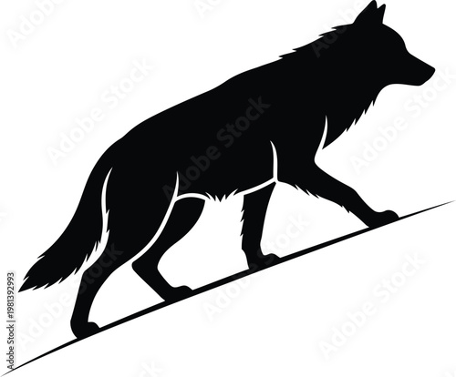 Photos Black silhouette of a prowling wolf walking uphill isolated on a clean white bac