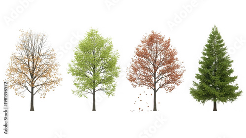 Four seasons trees illustration isolated on transparent background