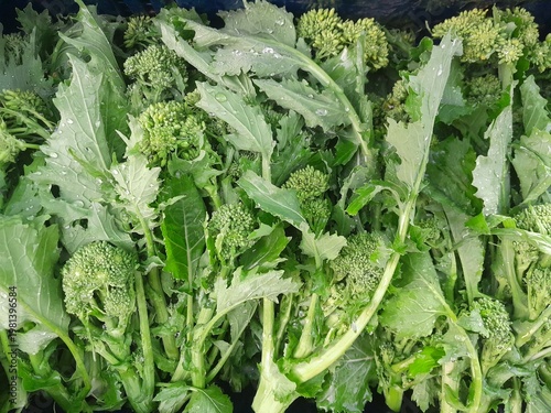 Broccoli rabe Leaf vegetables with flowers bud. Broccoli raab healthy nutritional green vegan vegetable food.  