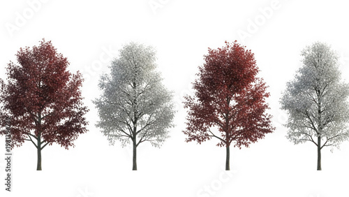 Four seasonal trees in various colors isolated on transparent background