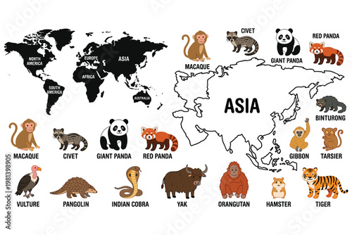 World map and asian animals infographic, vector illustration for education.