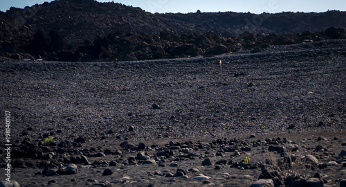 Картината върху платно Black volcanic desert land with basalt lava formations and stones, a dark soil of the volcano