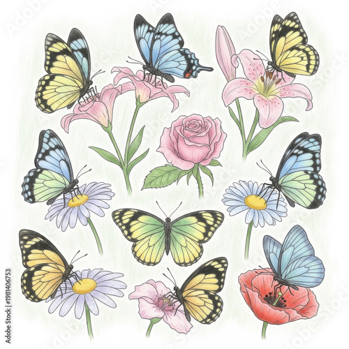 Colorful butterflies and flowers illustration art