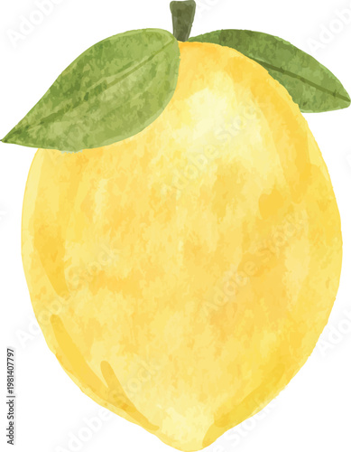 watercolor lemon summer fruit refreshing taste yellow texture illustration