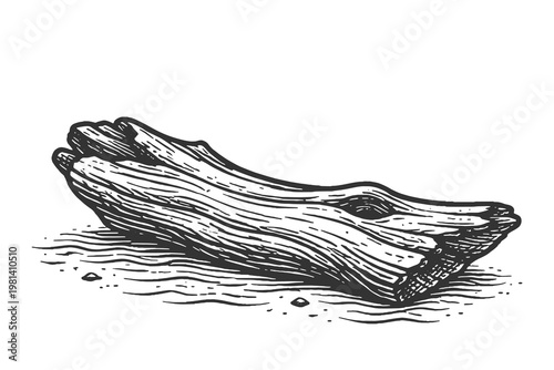 Piece of driftwood on beach sand vector illustration in hand drawn vintage engraving style, coastal wood debris element for marine and nature design.