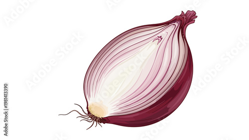 Red Onion Bulb Vegetable.