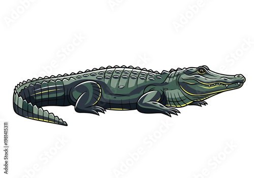 A detailed illustration of a resting alligator in its natural environment