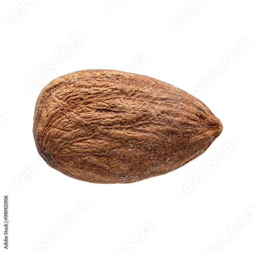 Raw Unroasted Almond Nut Isolated on Pure White Background PNG Cutout