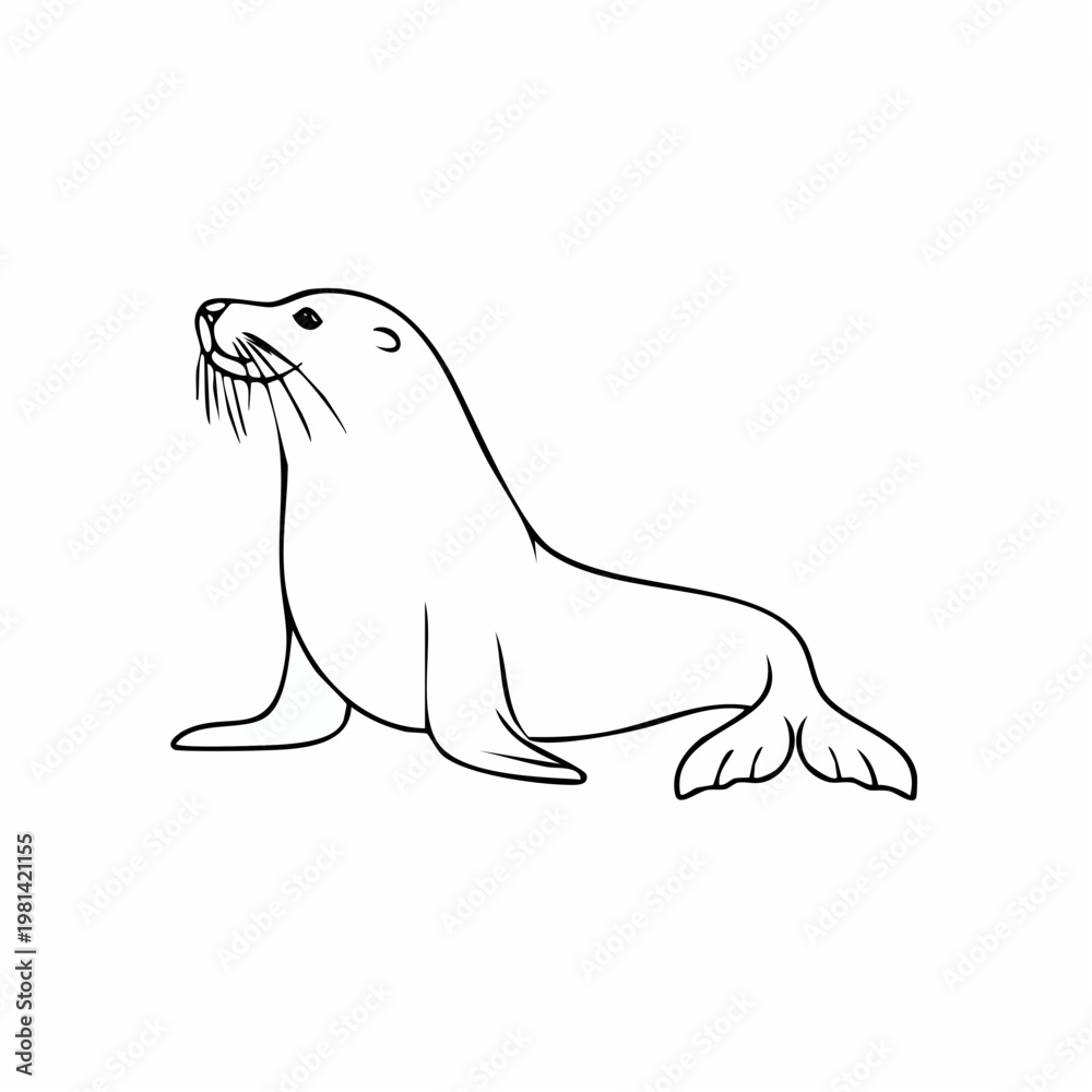 Fototapeta premium Sea Lion Illustration - A Simple Line Drawing of a Cute Sea Lion