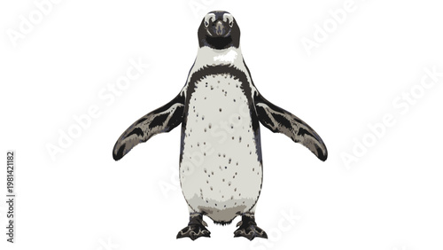 A small penguin standing upright with outstretched wings on a plain white background in a studio setting with a neutral mood.