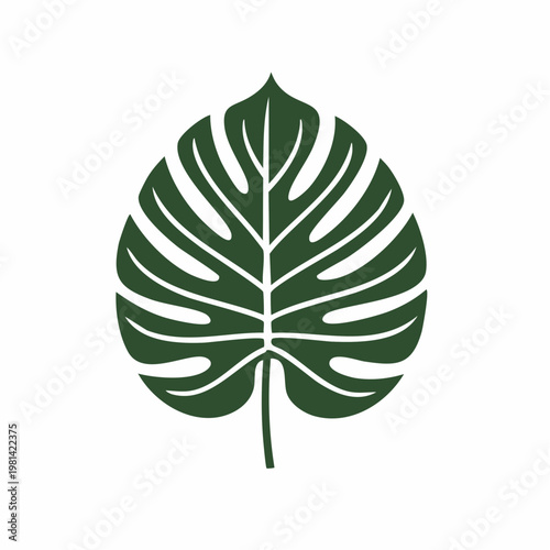 Monstera Leaf Silhouette A Symbol of Tropical Nature and Lush Greenery
