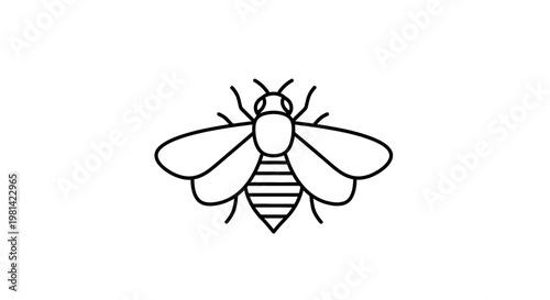 Detailed drawing of a bee insect.