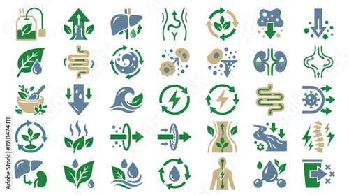 Digestive Health Internal Organ and Metabolism Vector Icons in Blue Green