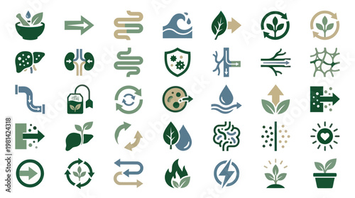 Natural Body Detoxification and Metabolic Process Vector Icon Set Collection