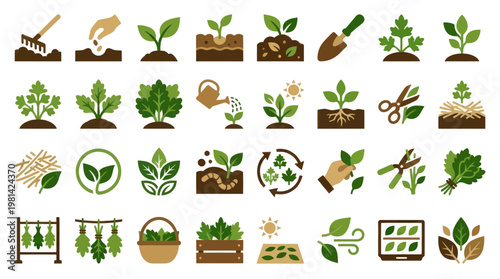 Herbal Garden Maintenance and Plant Care Activity Vector Icon Set