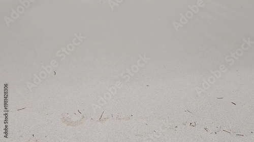 Word Ocean written on sand being washed away by ocean wave.