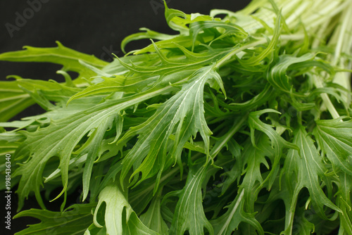 水菜　　スタジオ撮影