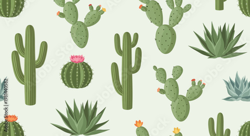 Cactus Plants Desert Flora.